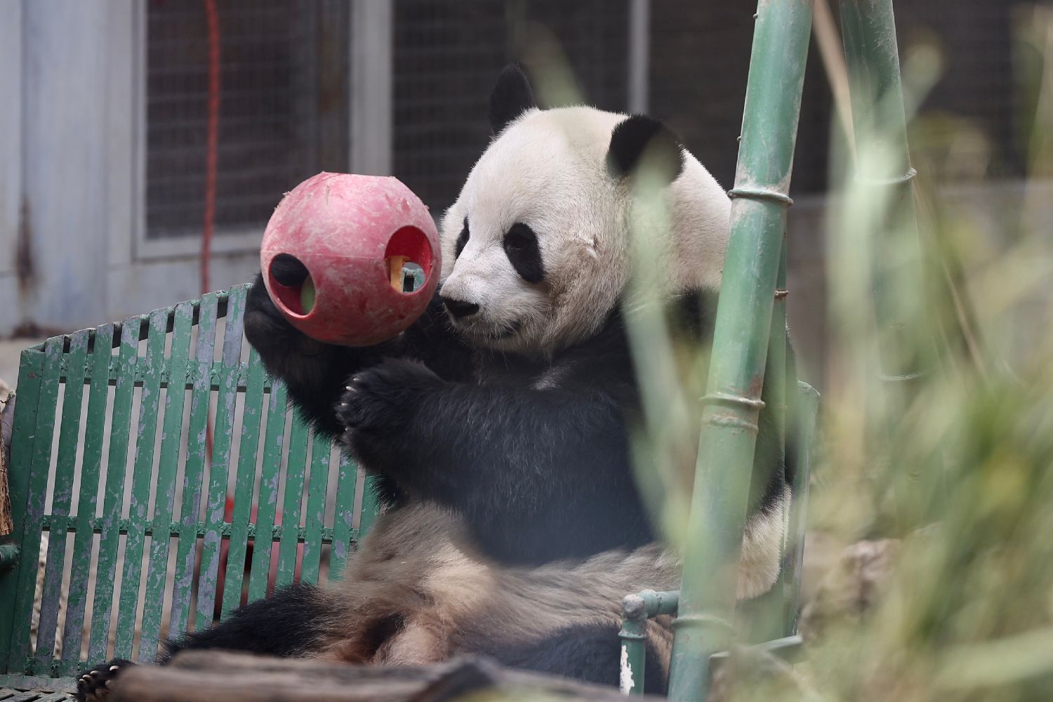 图片加载失败