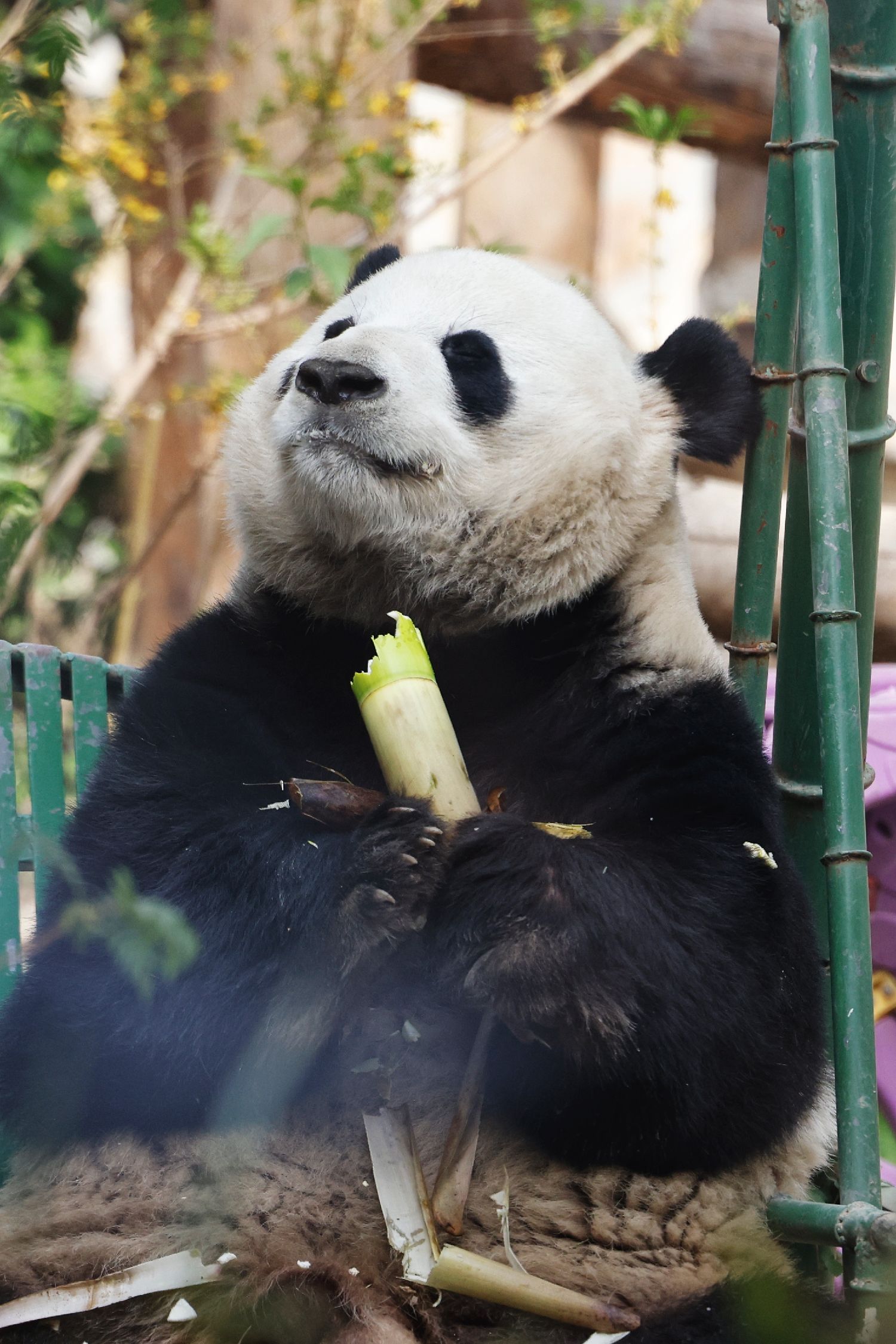 图片加载失败