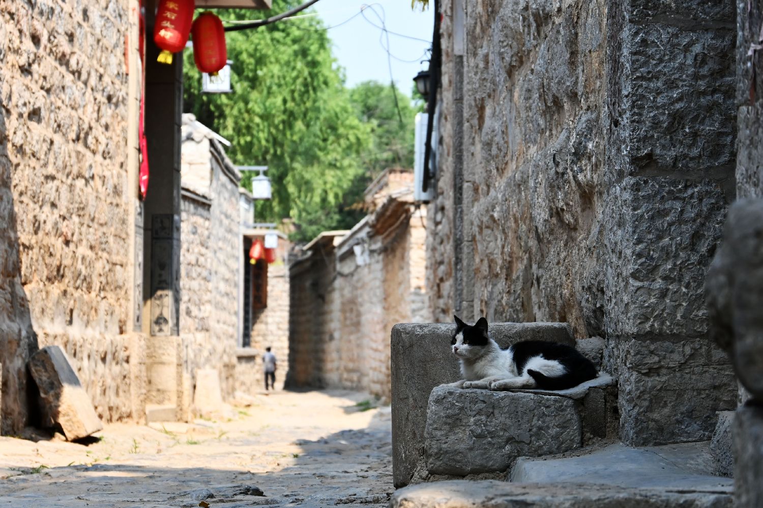 图片加载失败