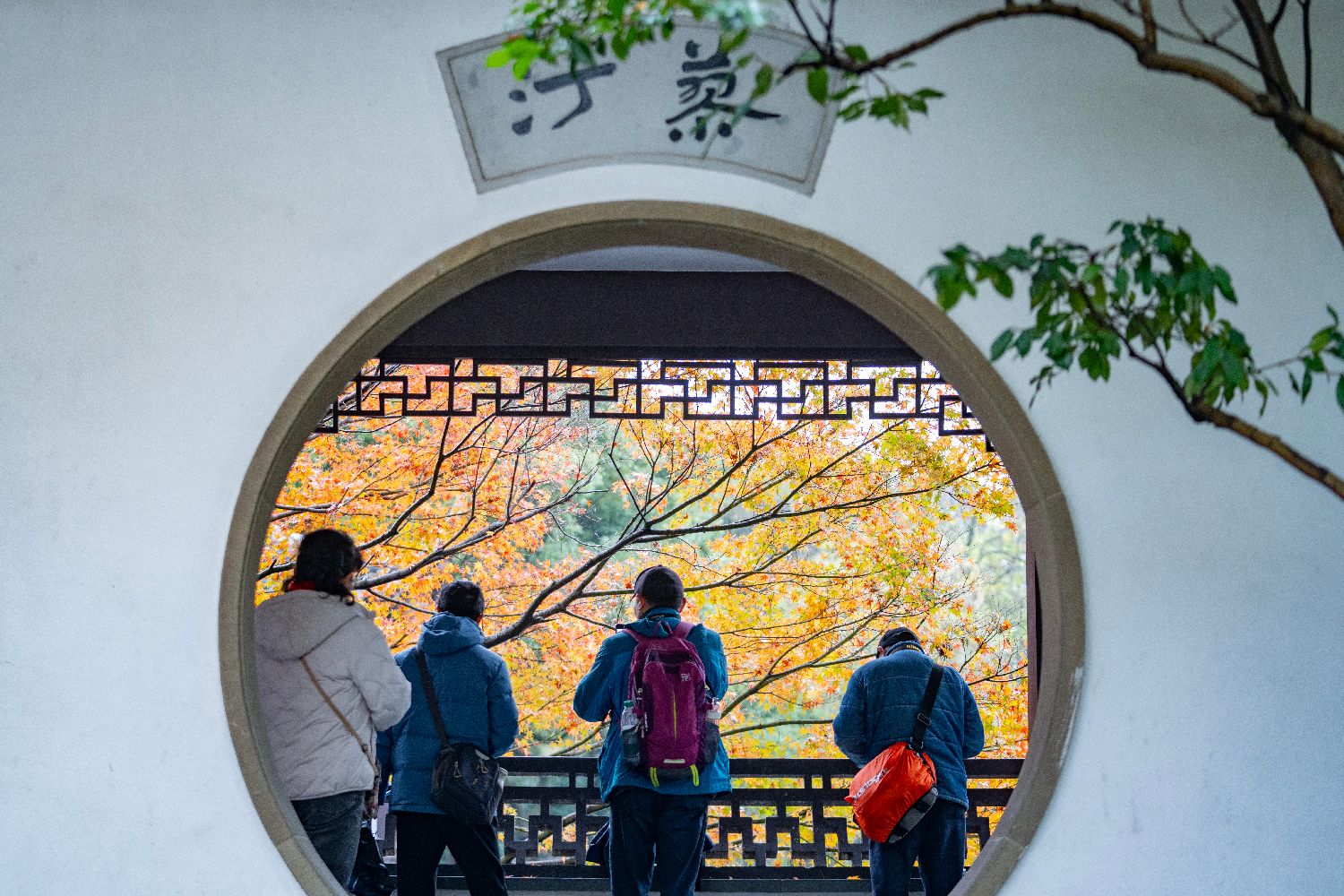 图片加载失败