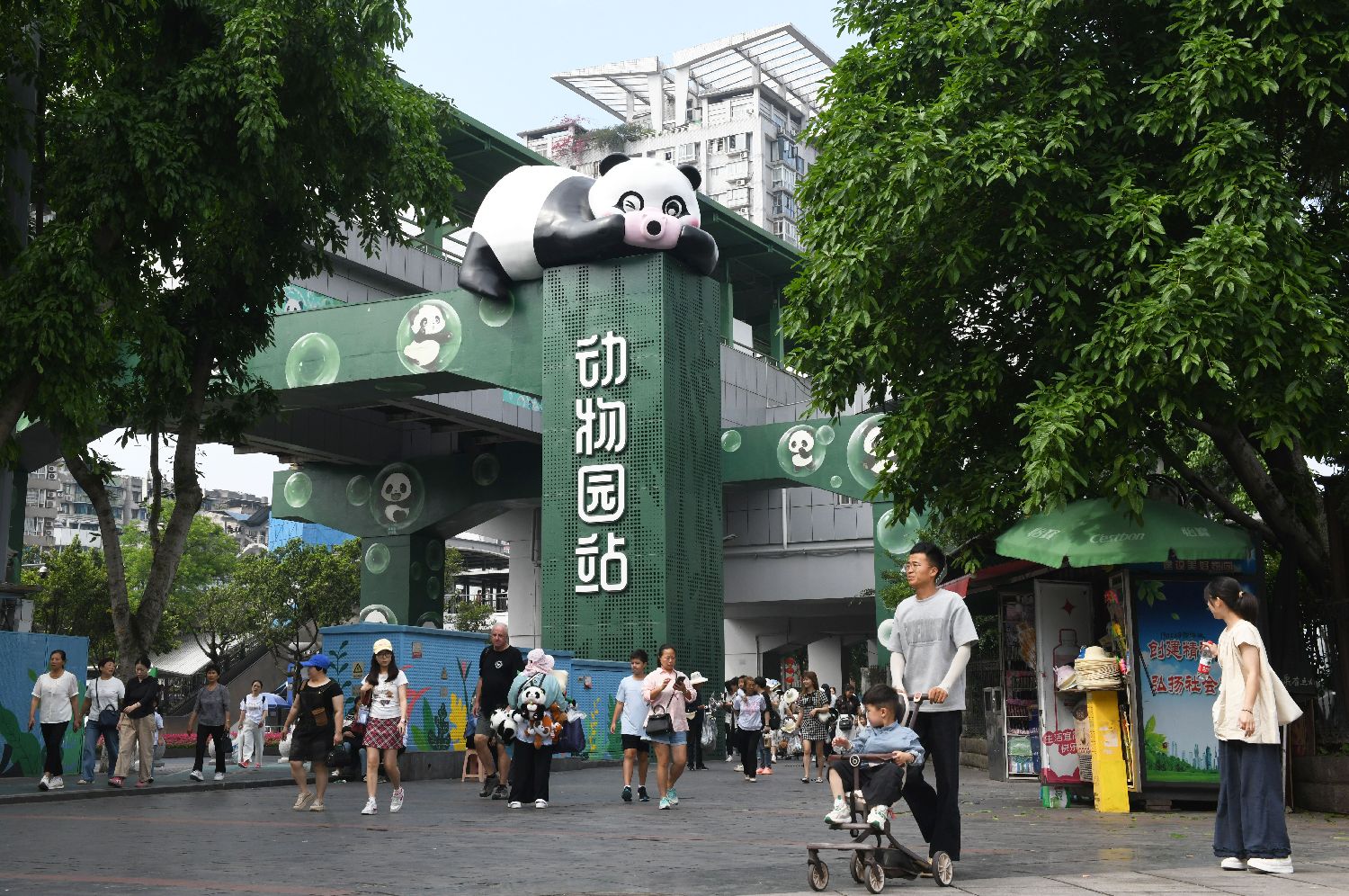 图片加载失败