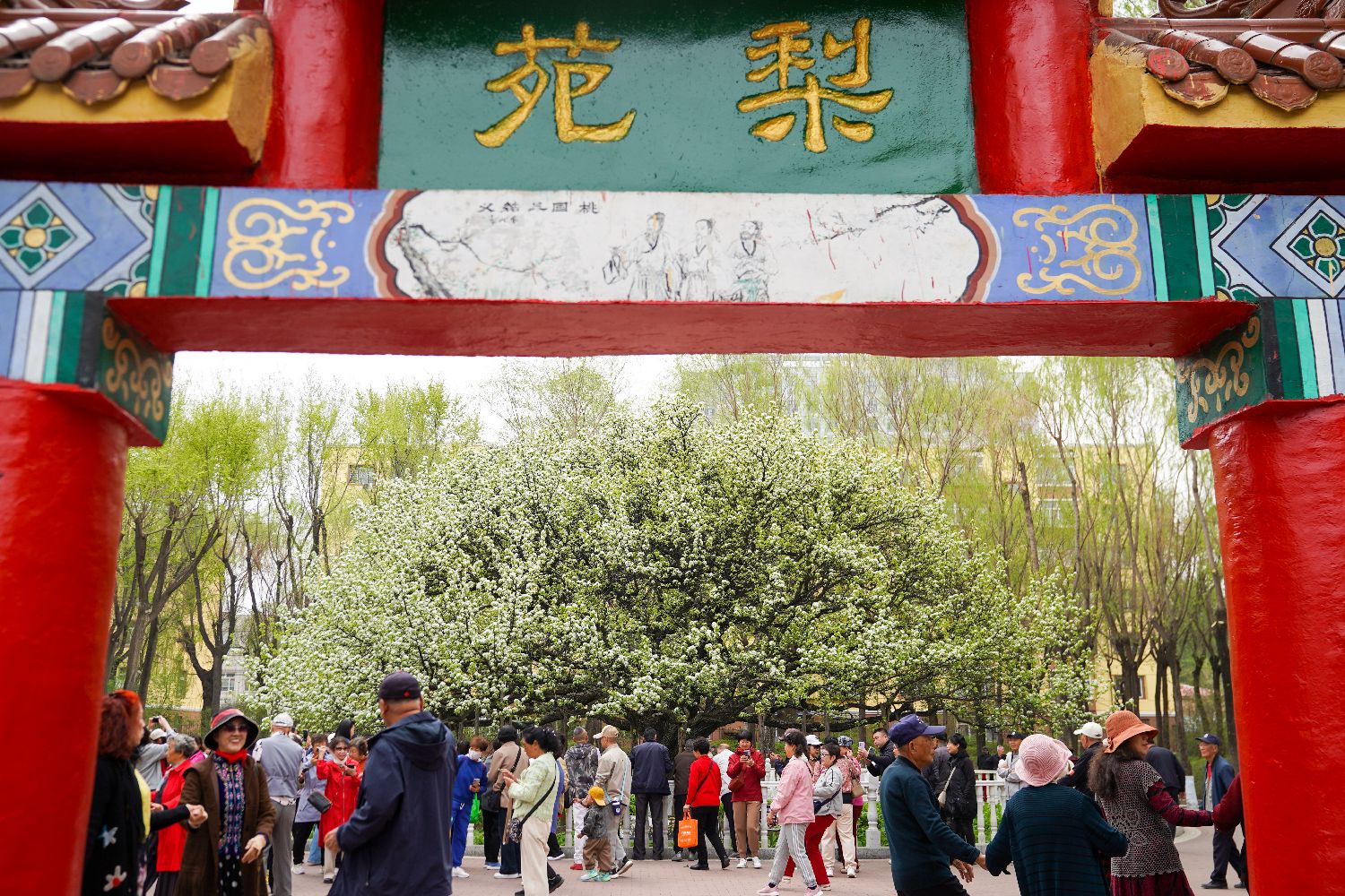 图片加载失败